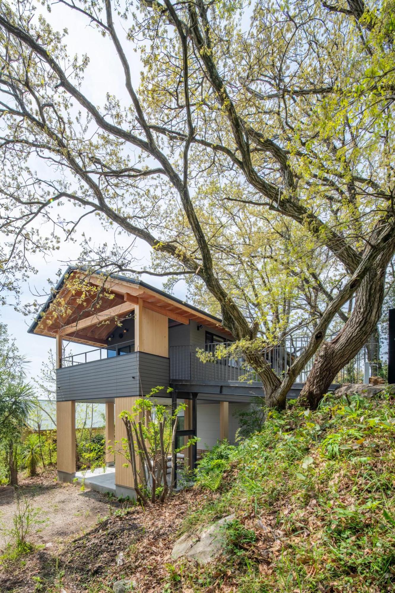 Nutic Izu - 伊豆の一棟貸切ホテル Ito (Shizuoka) Exterior foto